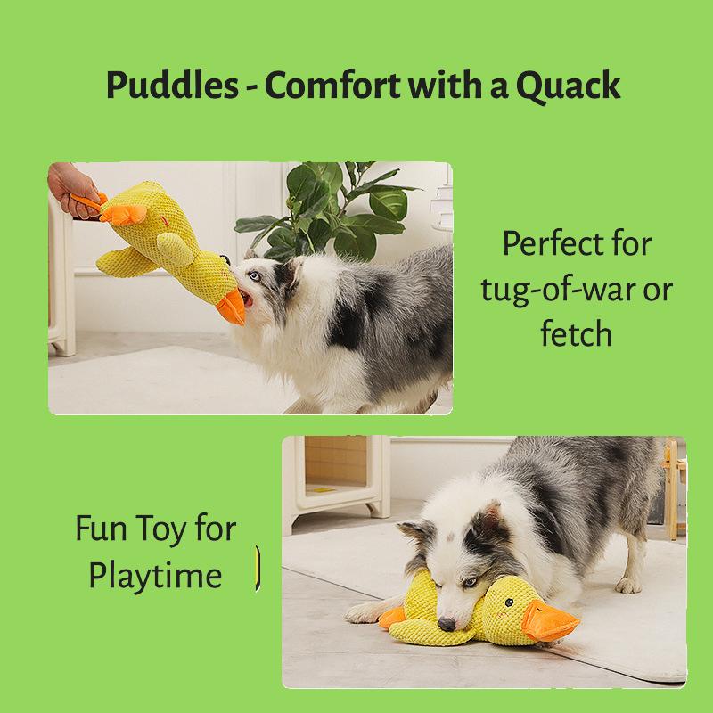 Puddles – Comfort with a Quack