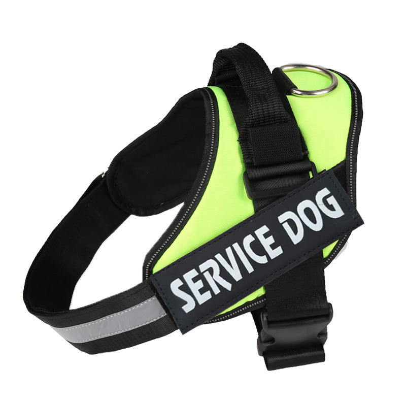 Ease Fit Custom Harness: The No-Pull Comfort Your Dog Deserves