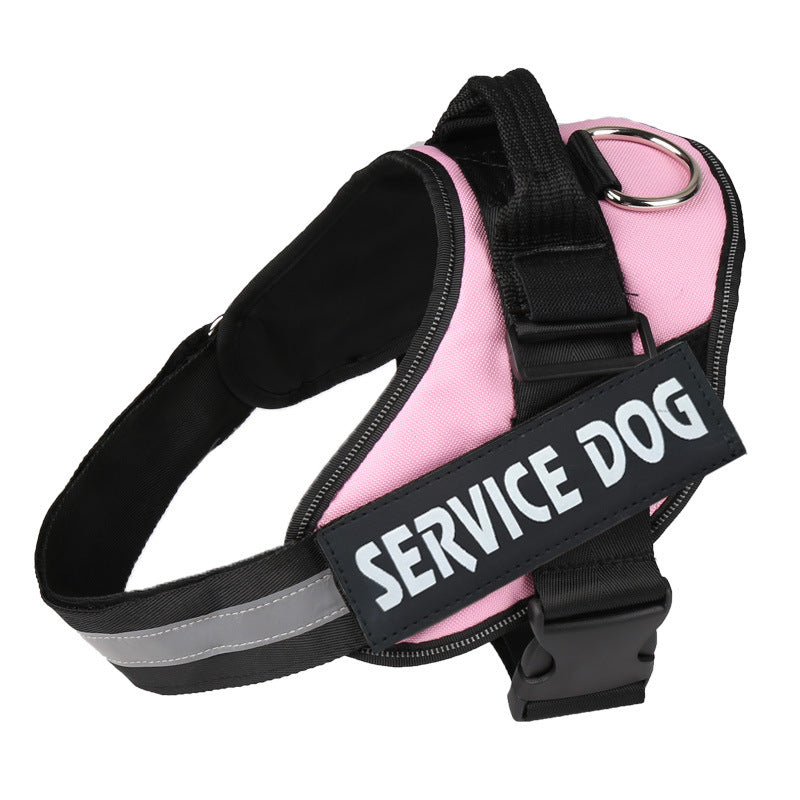 Ease Fit Custom Harness: The No-Pull Comfort Your Dog Deserves