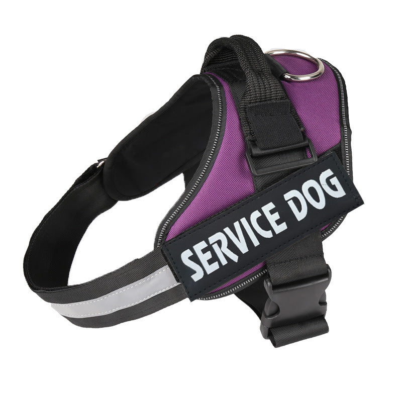 Ease Fit Custom Harness: The No-Pull Comfort Your Dog Deserves